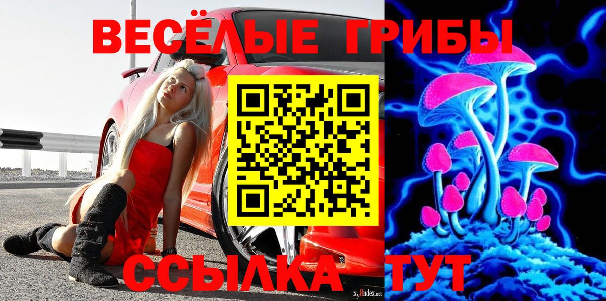 Псилоцибиновые грибы ЛСД  купить наркотик  Липецк  Вход с VPN 